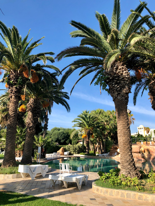 anlage_sentido_phenicia_hammamet sentido_phenicia_erfahrung