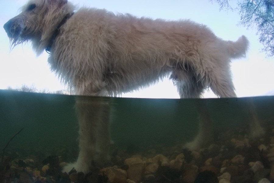 halb-ueber-halb-unterwasser-foto